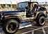 1979 Jeep CJ-7 for sale 101022361